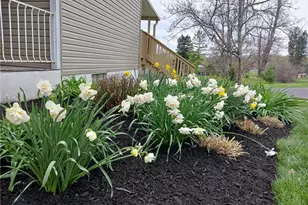 8267 S Brown School Rd, Vandalia, OH 45377 - Photo 49