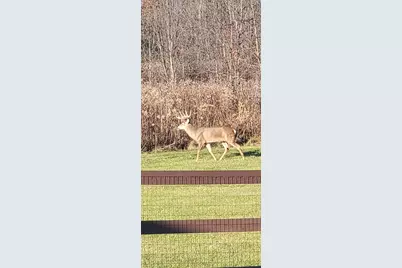 1694 McClellan Road, Spring Valley Twp, OH 45385 - Photo 77