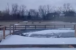 1694 McClellan Rd, Spring Valley Twp, OH 45385 - Photo 79