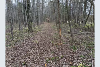 72-Acres Yankeetown, Hamersville, OH 45130 - Photo 5