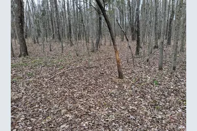 72-Acres Yankeetown, Hamersville, OH 45130 - Photo 7