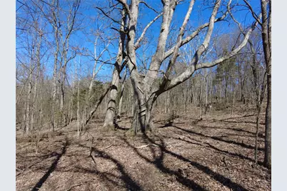 542 Ginger Lane, West Union, OH 45693 - Photo 11