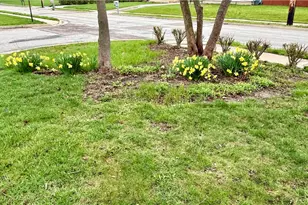 2 Orchard Dr, Piqua, OH 45356 - Photo 53