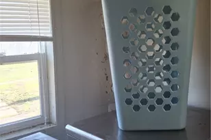 237 Forest St, Sidney, OH 45365 - Photo 13