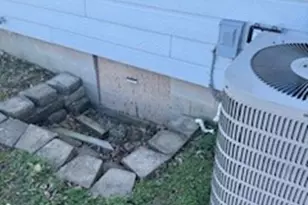 7629 Gooselick Rd, Ripley, OH 45167 - Photo 25