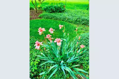 2361 Wilmington Road, Lebanon, OH 45036 - Photo 55