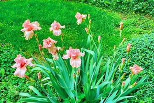 2361 Wilmington Rd, Lebanon, OH 45036 - Photo 55