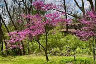 2361 Wilmington Rd, Lebanon, OH 45036 - Photo 53