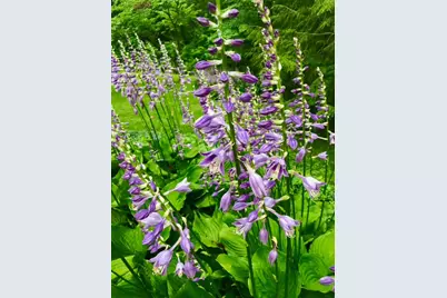 2361 Wilmington Road, Lebanon, OH 45036 - Photo 59