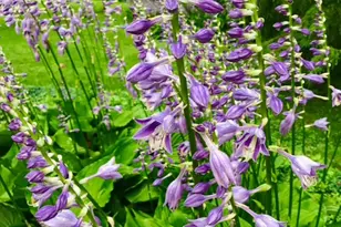 2361 Wilmington Rd, Lebanon, OH 45036 - Photo 59