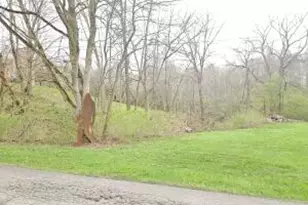 519 Moorefield Rd, Moorefield Twp, OH 45502 - Photo 23