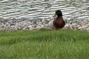 2433 Cabbage Key Dr, Miami Township, OH 45342 - Photo 29