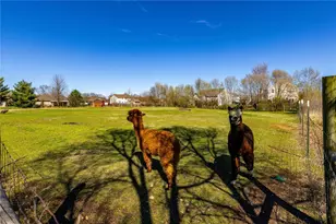 7426 Martz-Paulin Rd, Franklin Twp, OH 45005 - Photo 39