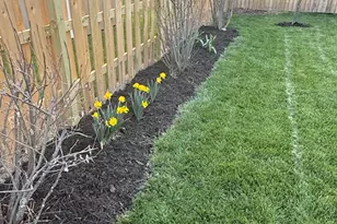 1978 Lakeview Dr, Xenia, OH 45385 - Photo 41