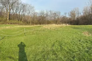 56 Willow St, Mechanicsburg, OH 43044 - Photo 21