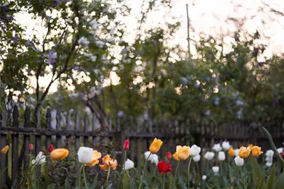 125 Gulfwood Court, Centerville, OH 45458 - Photo 21