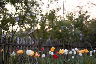 125 Gulfwood Ct, Centerville, OH 45458 - Photo 21