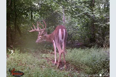 7583 Blue Creek Road, Blue Creek, OH 45684 - Photo 53