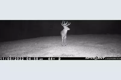 7583 Blue Creek Road, Blue Creek, OH 45684 - Photo 55