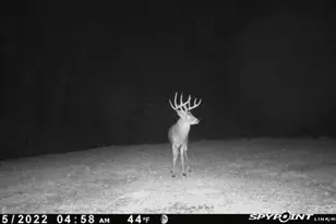 7583 Blue Creek Rd, Blue Creek, OH 45684 - Photo 55