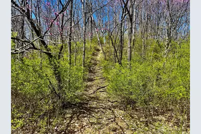 0 State Route 121, New Paris, OH 45347 - Photo 43