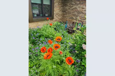 210 Foliage Lane, Springboro, OH 45066 - Photo 41