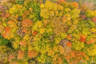 945 S Nixon Camp Rd, Oregonia, OH 45054 - Photo 49