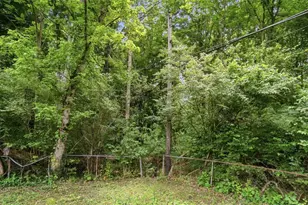 1855 Bluehill Dr, Cincinnati, OH 45240 - Photo 37