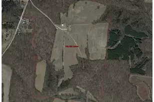 8598 Deadfall Rd, Hillsboro, OH 45133 - Photo 63