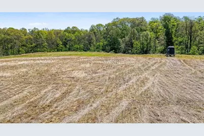 8598 Deadfall Road, Hillsboro, OH 45133 - Photo 11