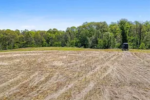 8598 Deadfall Rd, Hillsboro, OH 45133 - Photo 11