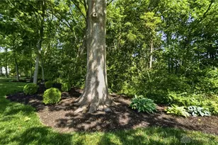 915 Hidden Branches Dr, Washington Twp, OH 45458 - Photo 65