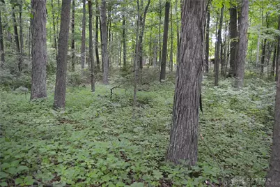 6521 Morrow Rossburg Road, Morrow, OH 45152 - Photo 7