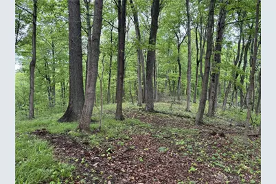 16200 US 52, Manchester, OH 45144 - Photo 19