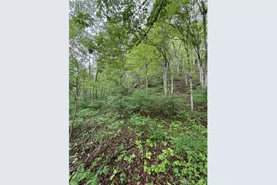 16200 US 52, Manchester, OH 45144 - Photo 15