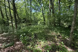 5392 Enon-Xenia Rd, Fairborn, OH 45324 - Photo 77