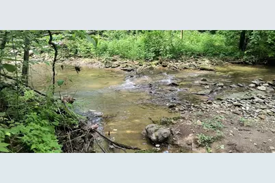 Tract 1 US 42, Waynesville, OH 45385 - Photo 21