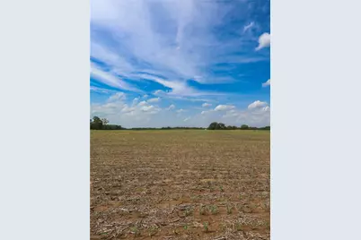 Tract 1 US 42, Waynesville, OH 45385 - Photo 5