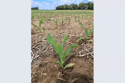 Tract 1 US 42, Waynesville, OH 45385 - Photo 3