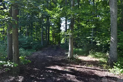 11 Ac Case Road, Tate Township, OH 45157 - Photo 9