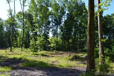 11 Ac Case Road, Tate Township, OH 45157 - Photo 7