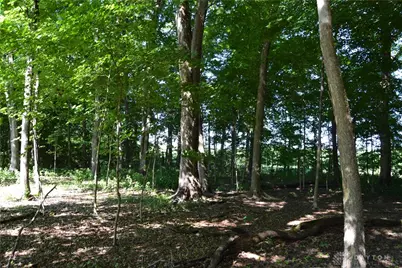 11 Ac Case Road, Tate Township, OH 45157 - Photo 15
