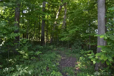 11 Ac Case Road, Tate Township, OH 45157 - Photo 11