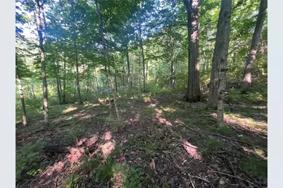 0 Stephen Young Rd., Camden, OH 45311 - Photo 7