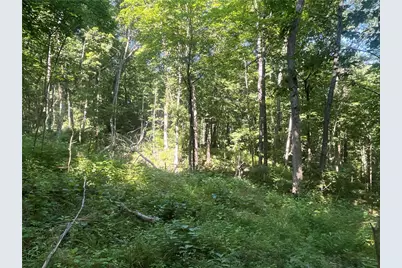 0 Stephen Young Rd., Camden, OH 45311 - Photo 29