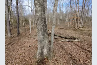 1897 Chestnut Ridge Road, West Union, OH 45693 - Photo 7