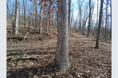 1897 Chestnut Ridge Road, West Union, OH 45693 - Photo 23