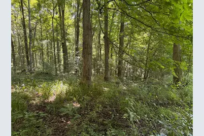 359 Green Ridge Road, Peebles, OH 45660 - Photo 23