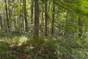 359 Green Ridge Rd, Peebles, OH 45660 - Photo 23