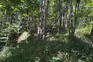 359 Green Ridge Rd, Peebles, OH 45660 - Photo 27